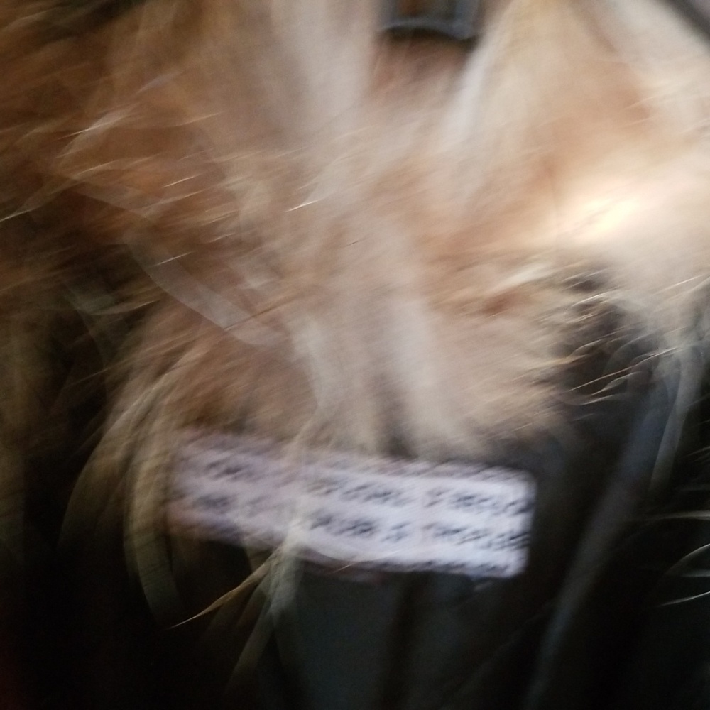Distressed brown jacket - Picture 4 of 4